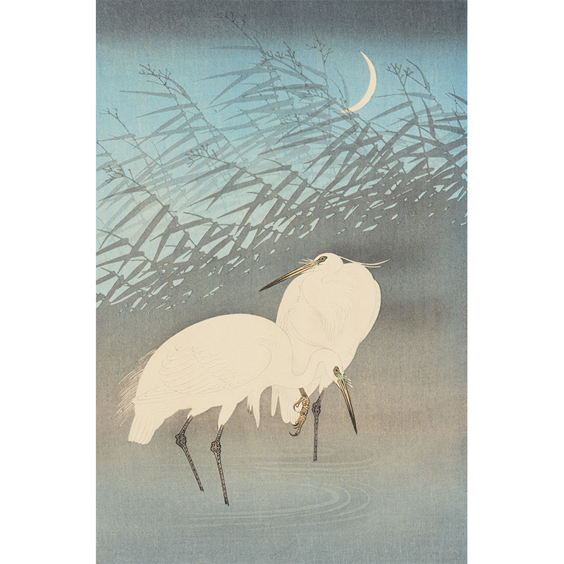 Πίνακας σε καμβά Japanese art-Cranes 1